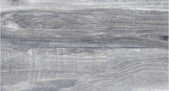 CASTOR GRIS